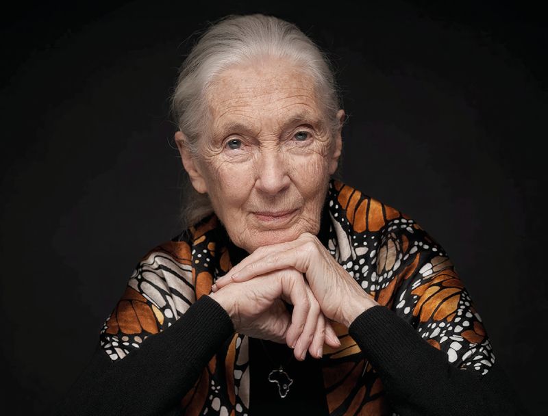 Jane Goodall: My Life, My Legacy Prod Shot 800x608