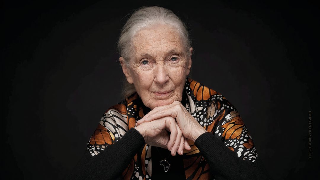 Jane Goodall: My Life, My Legacy Prod Shot 1080x608