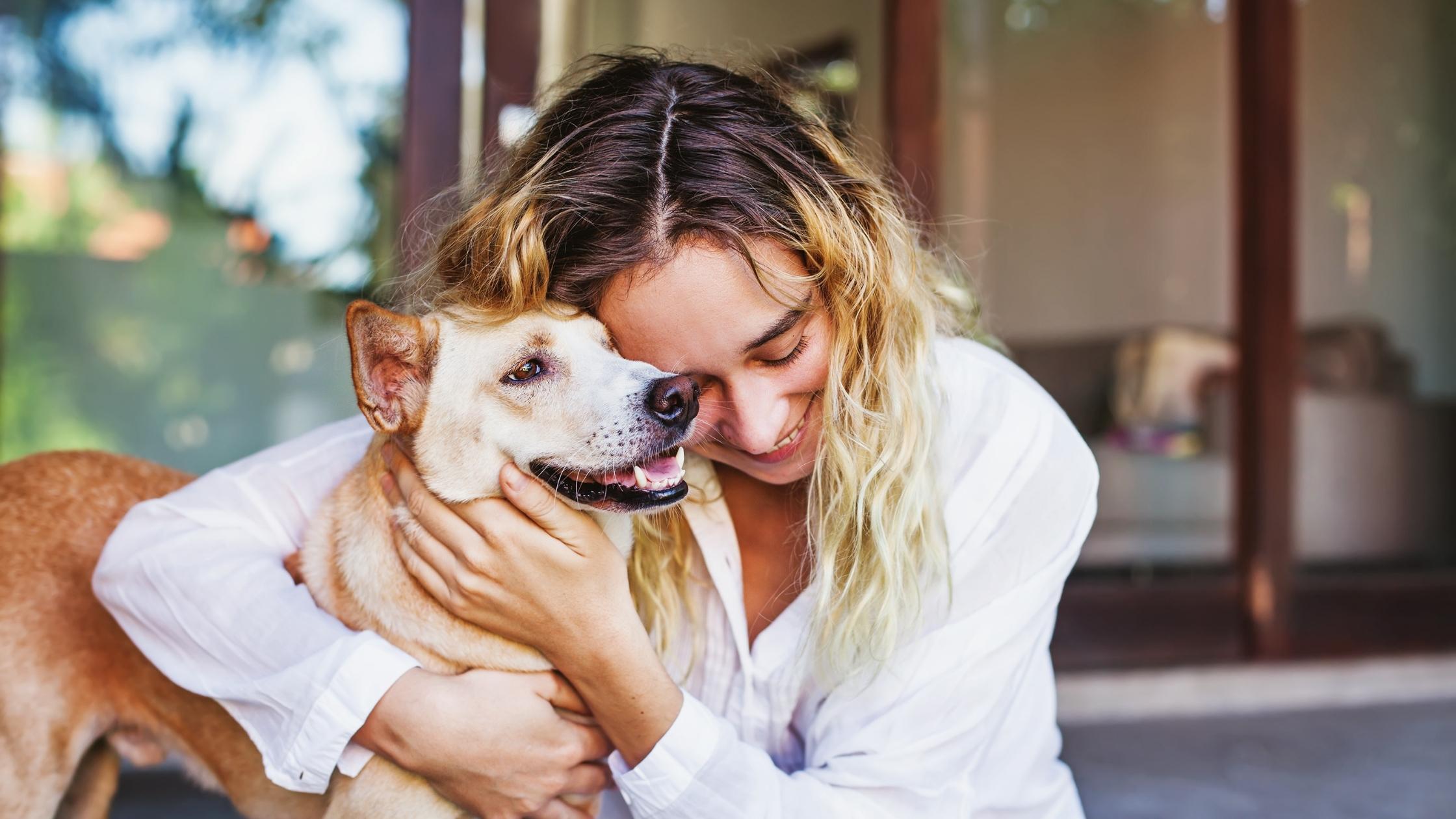 Summer Pet Safety Tips from Muirfield Animal Hospital