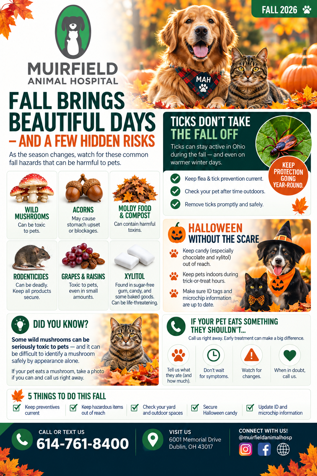 Fall Brings Beautiful Days, and a Few Hidden Risks