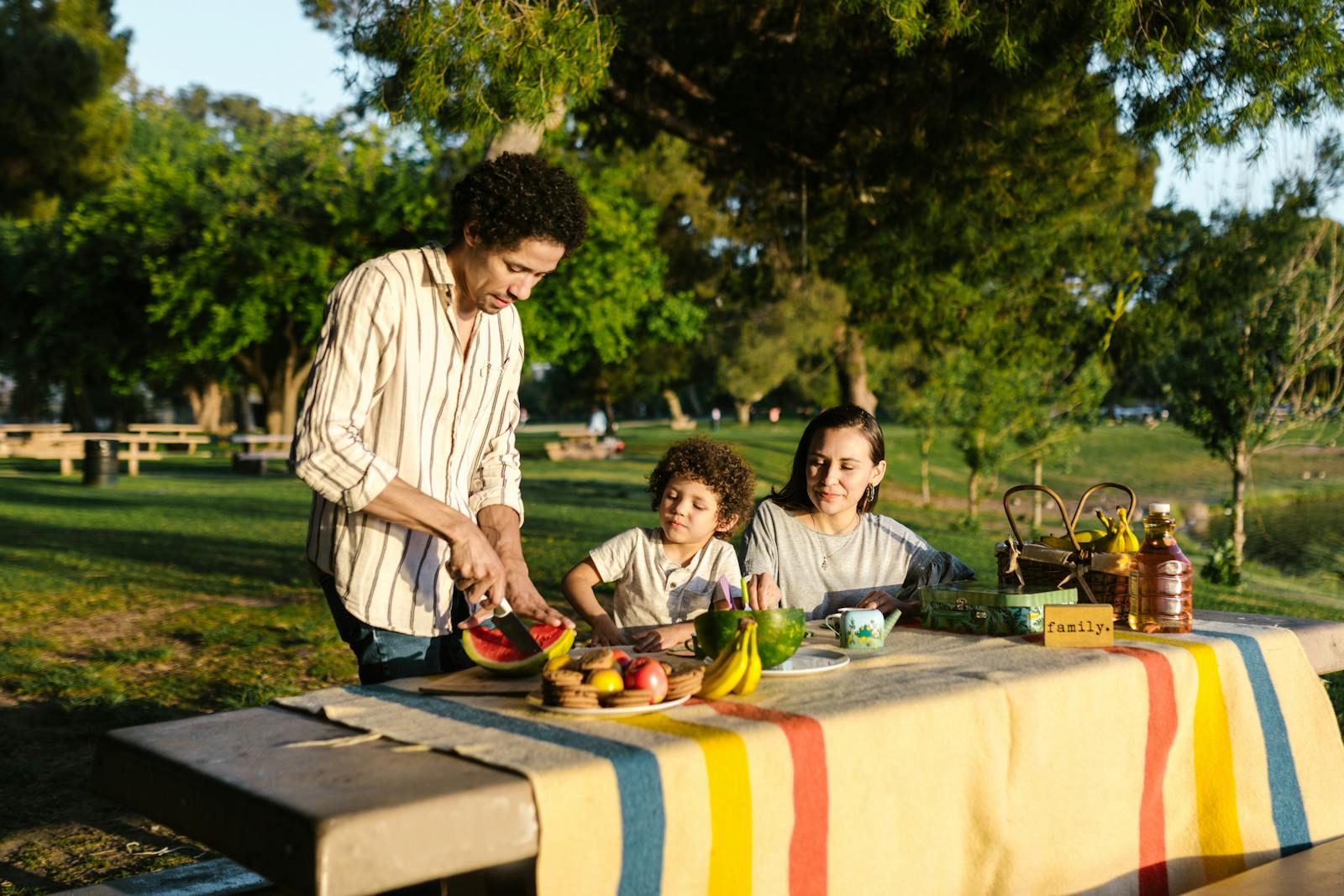Family having a picnic in the park during summer