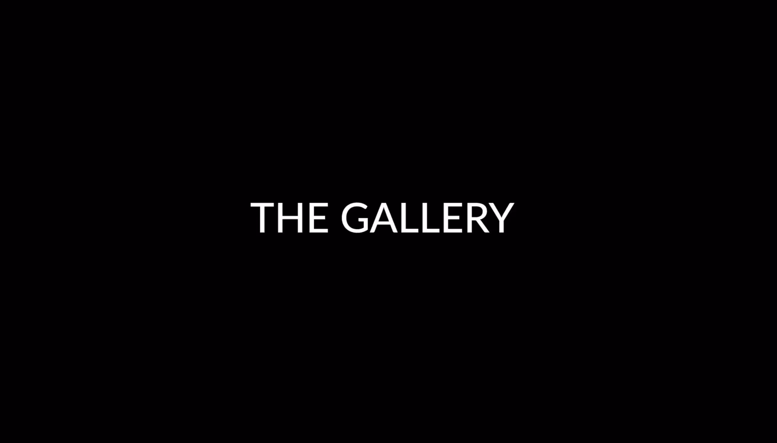plain text image with white text on black background "THE GALLERY" (Recrylic Custom Retail Displays Showroom Gallery)