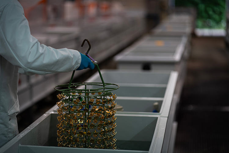 locaux sipolux portugal