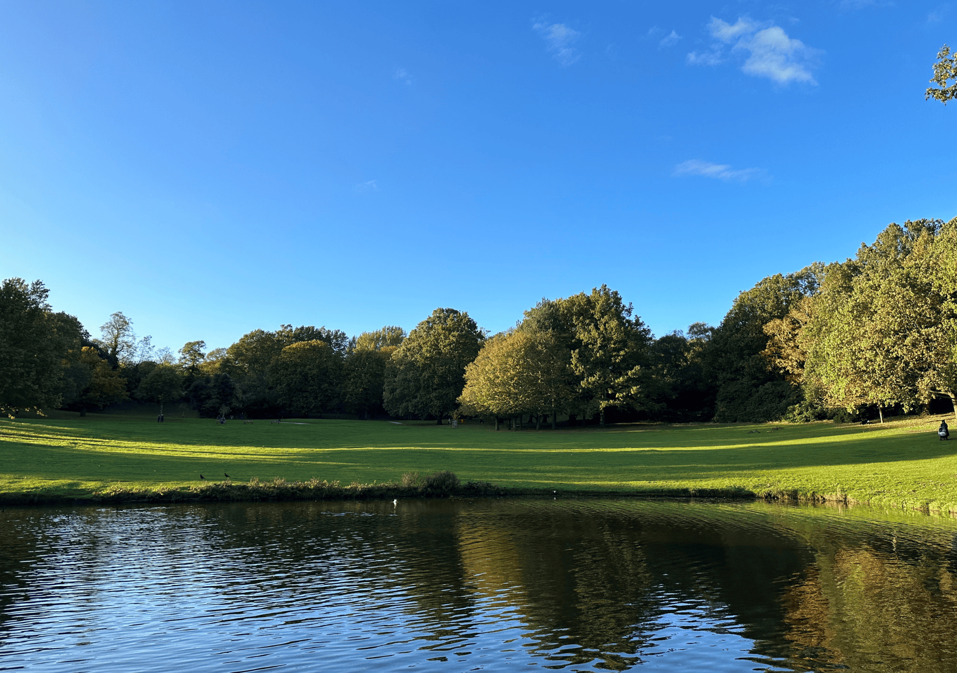 A view of a lake with green grass and trees on the background