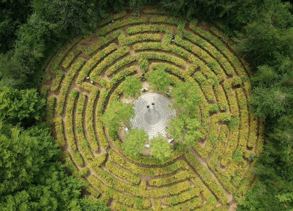 birds eye view of a planted maze