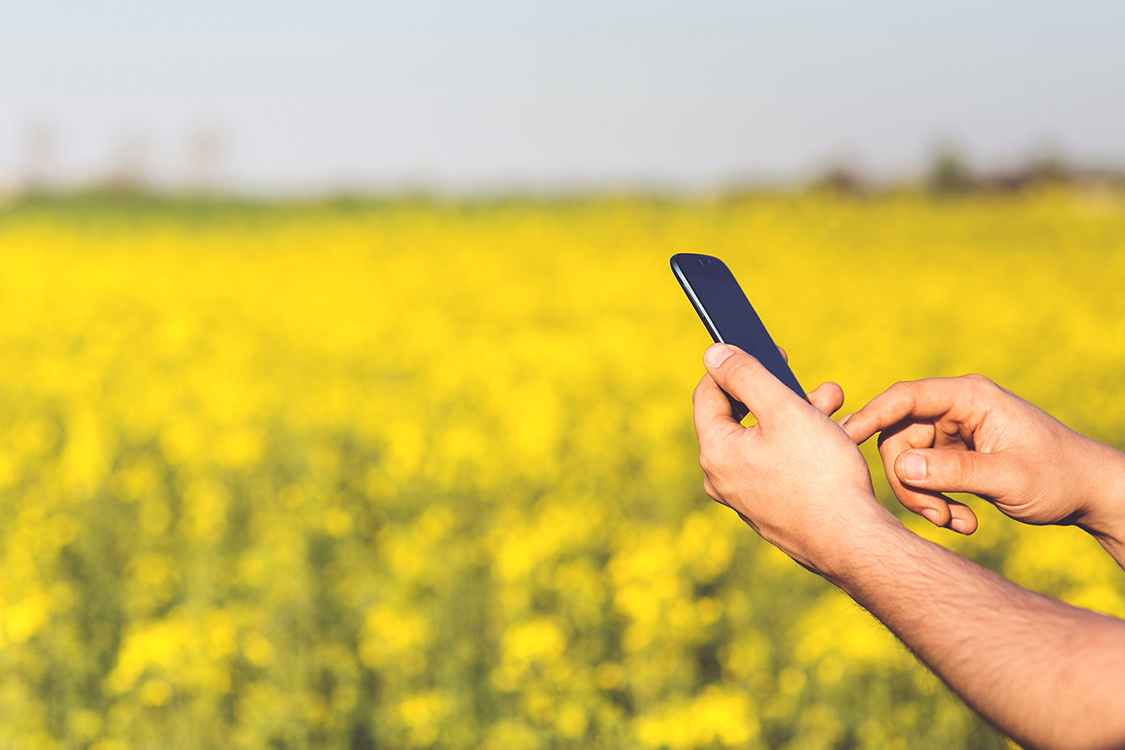 Mobile call from a field AF Group BMR