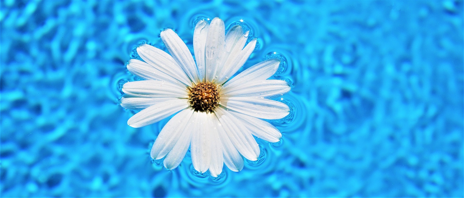 Aqua'Bon'heur