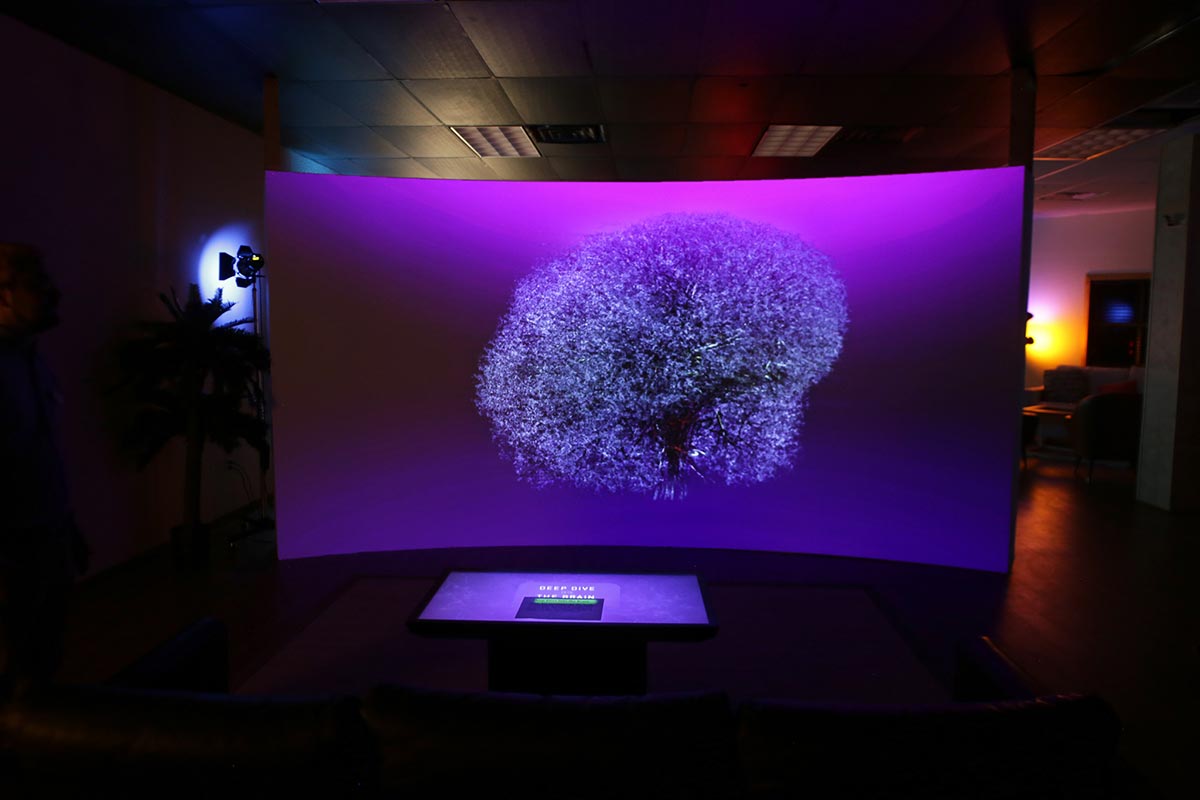 This stunning immersive exhibit was designed for a museum in Florida and set to open in Spring 2019.