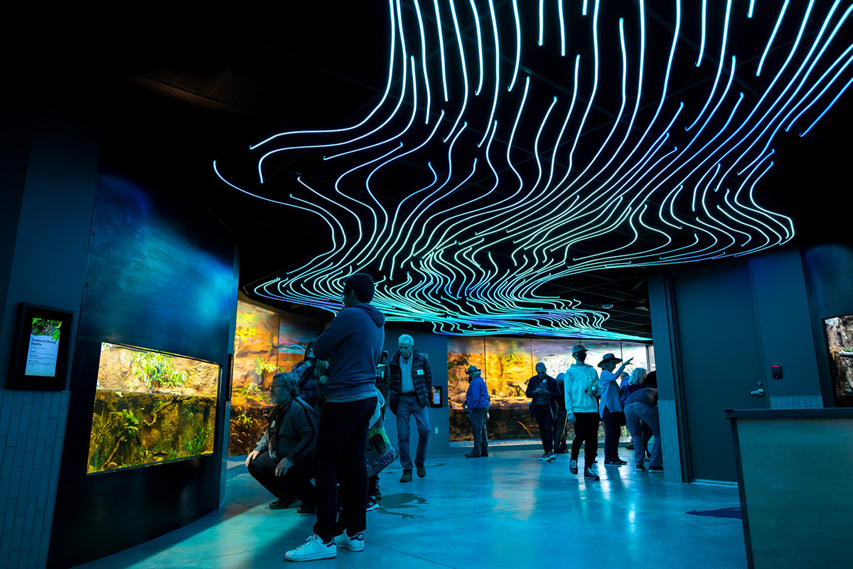 The Living River at the San Diego Zoo Wildlife Explorers Basecamp