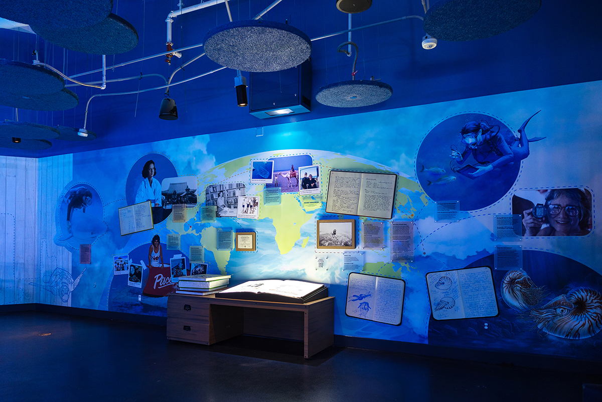 The Enchanted Book in it's final installation space, blending seamlessly into the immersive exhibit environment.