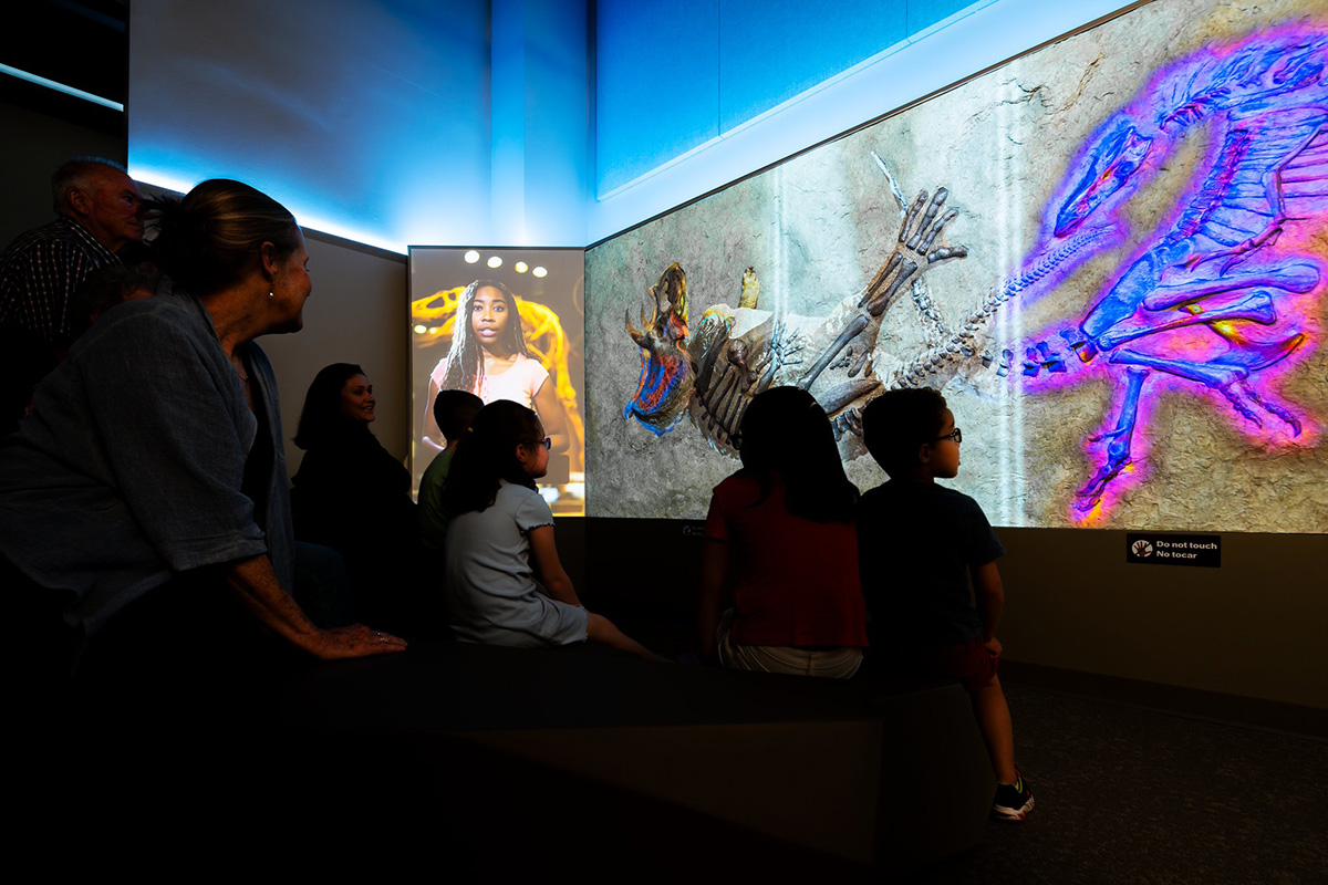 Visitors explore 3D fossil scans in the Dueling Dinosaurs exhibit at the North Carolina Museum of Natural Sciences.