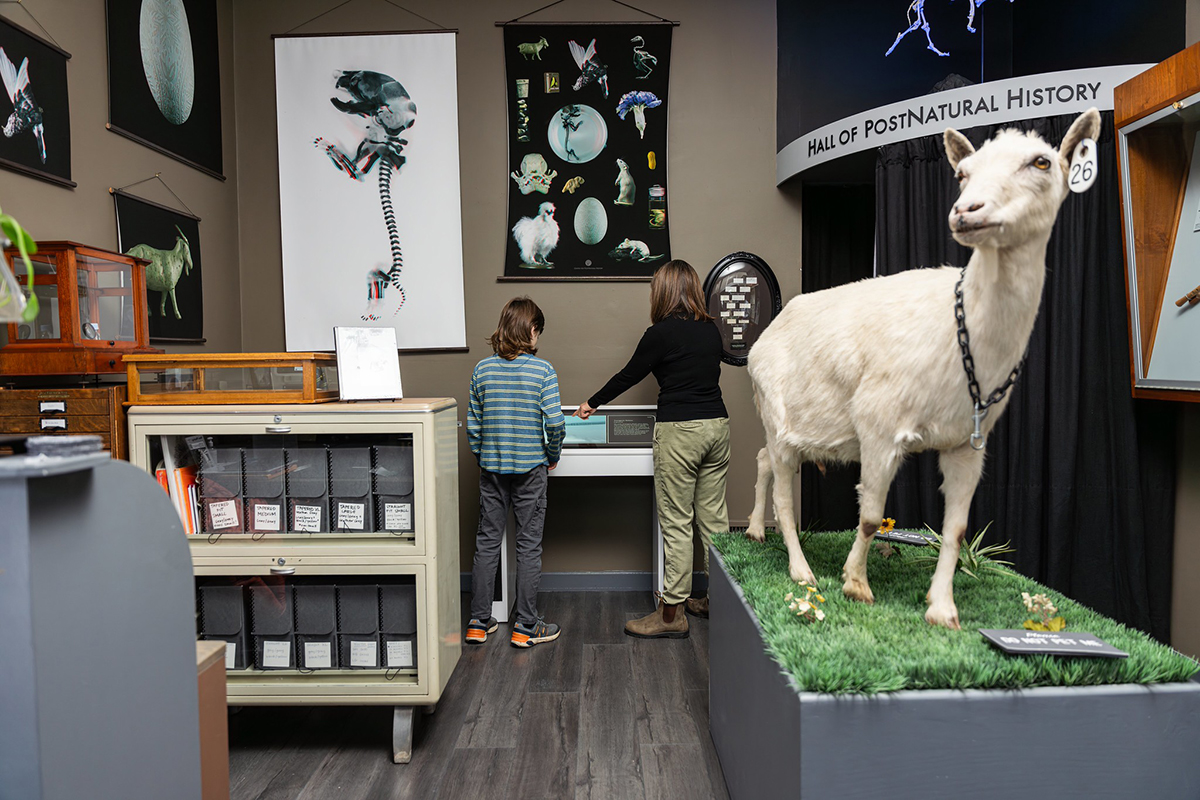 The Center for PostNatural History used the TouchStory application to integrate videos and other photographic media into an interactive display. 