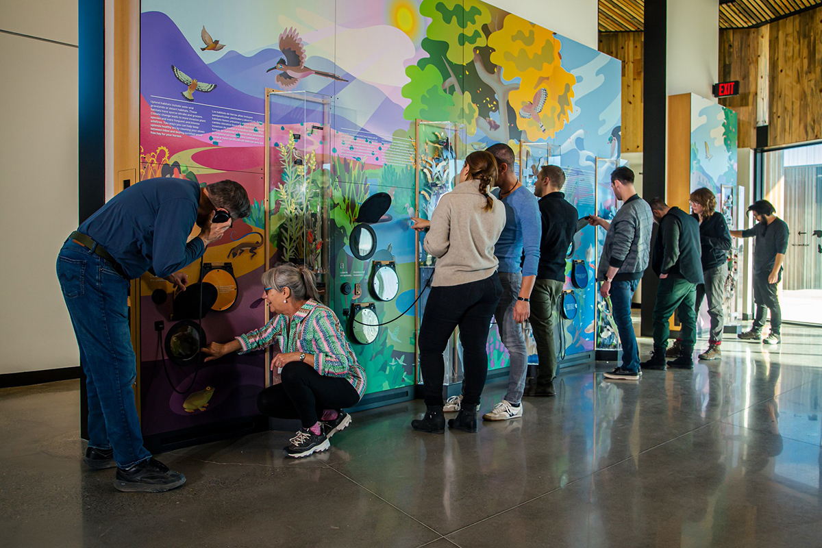 The Valle de Oro mural invites visitors to explore species, hear landscape sounds, and discover smells and tactile displays.