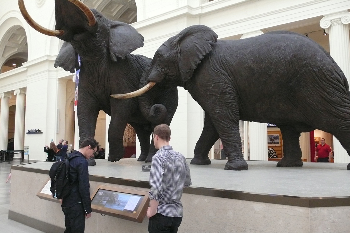 One of Ideum’s "reading rails" at the Field Museum in Chicago that provides visitors with more in-depth details about the installations.