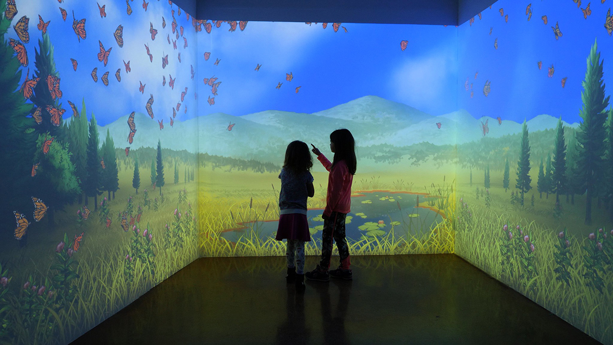  Ideum illustrated, animated, and programmed the "In Tune with Nature" environment, allowing children to interact with butterflies, fireflies, and other creatures.