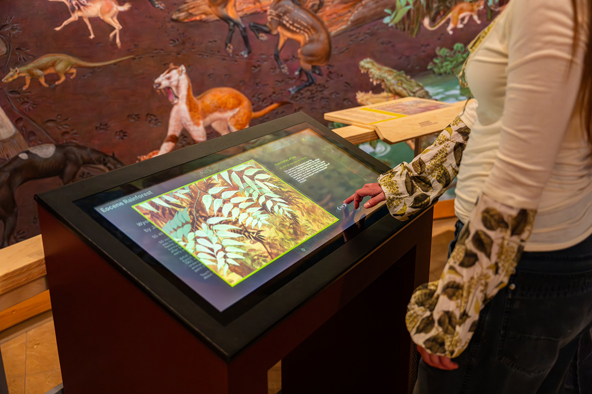 TouchStory at the New Mexico Museum of Natural History and Science.