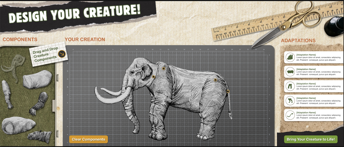 Wireframes give our clients an idea of what their visitors will experience as they build their creature and learn about different types of evolution.