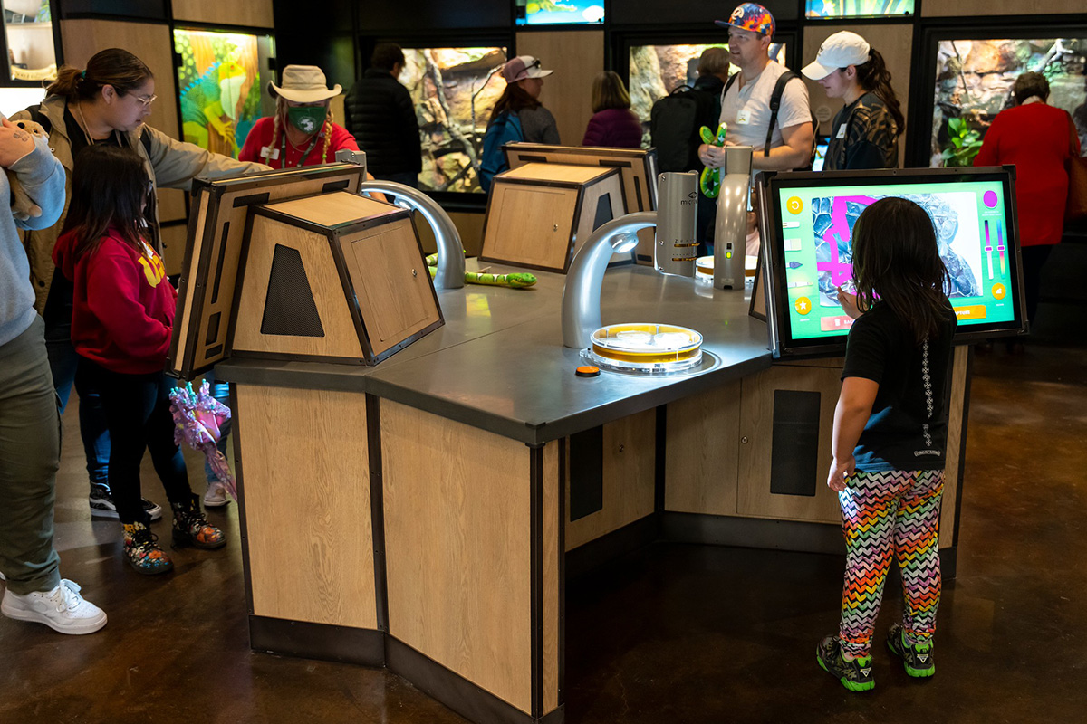 Custom built microscope station kiosk designed and developed for the San Diego Zoo.
