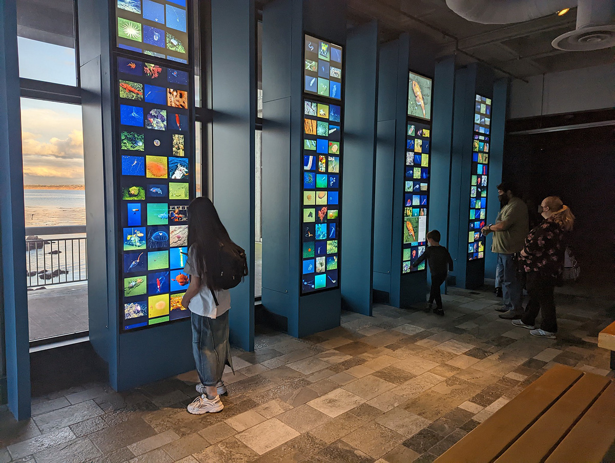 Four custom interactive towers developed for Monterey Bay Aquarium.