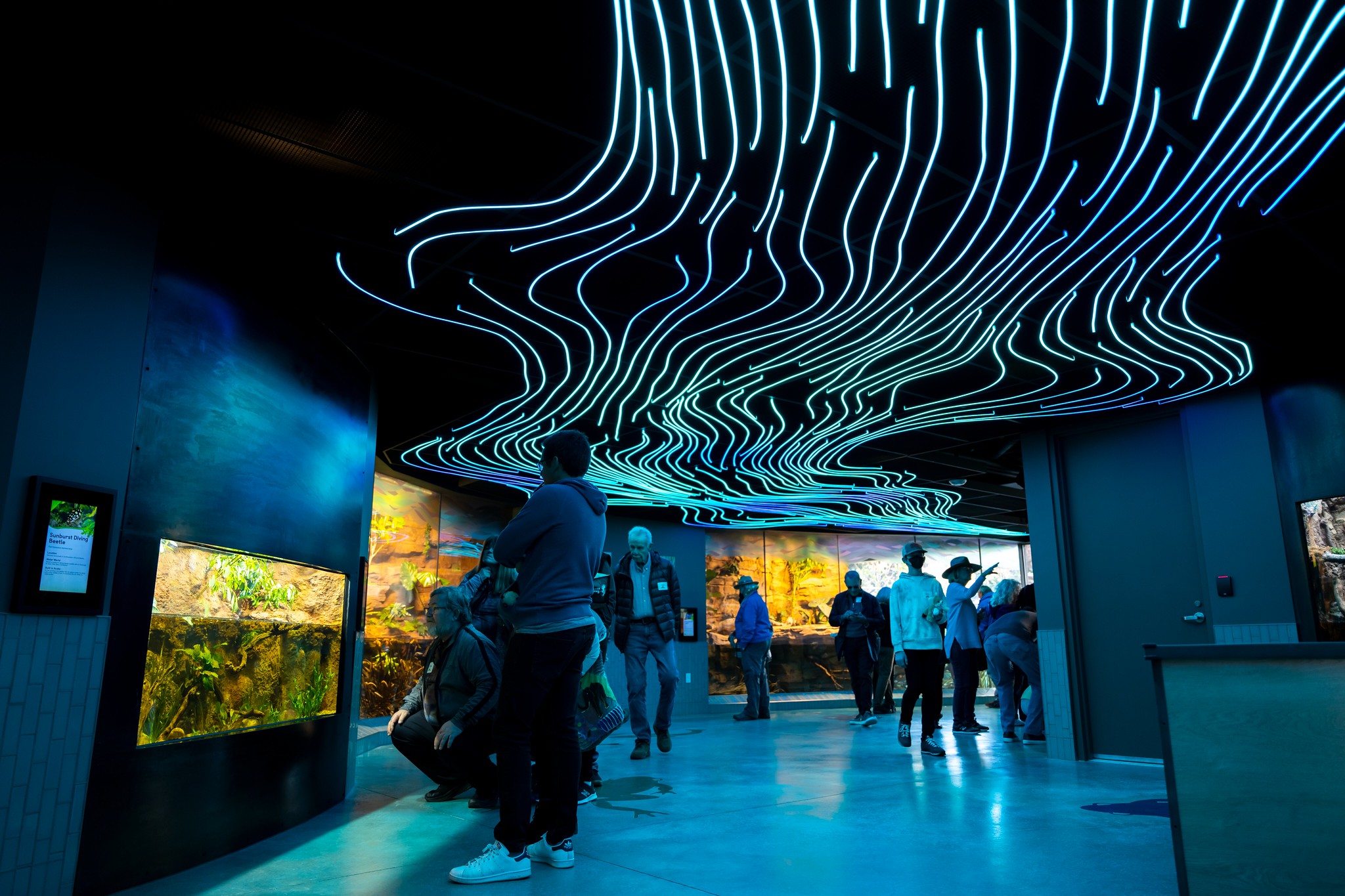 Exhibit Design San Diego Zoo