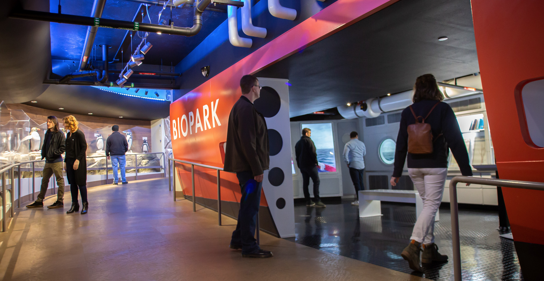 Museum exhibit design firm