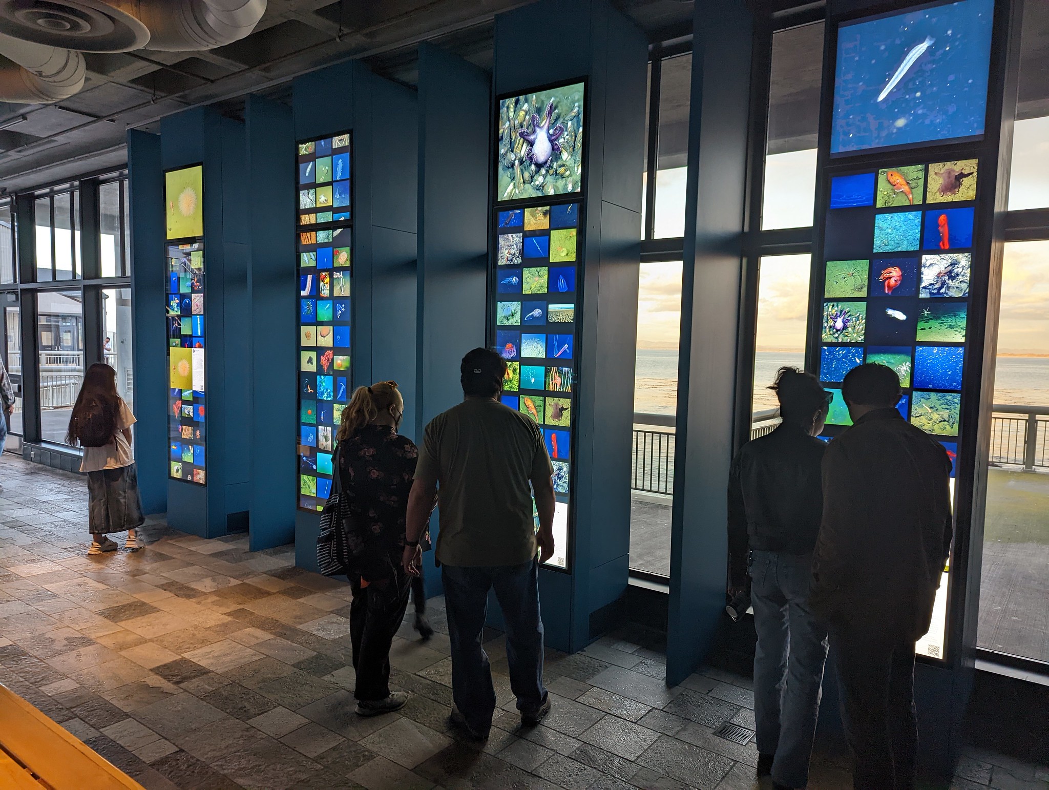 Exhibit Design San Diego Zoo