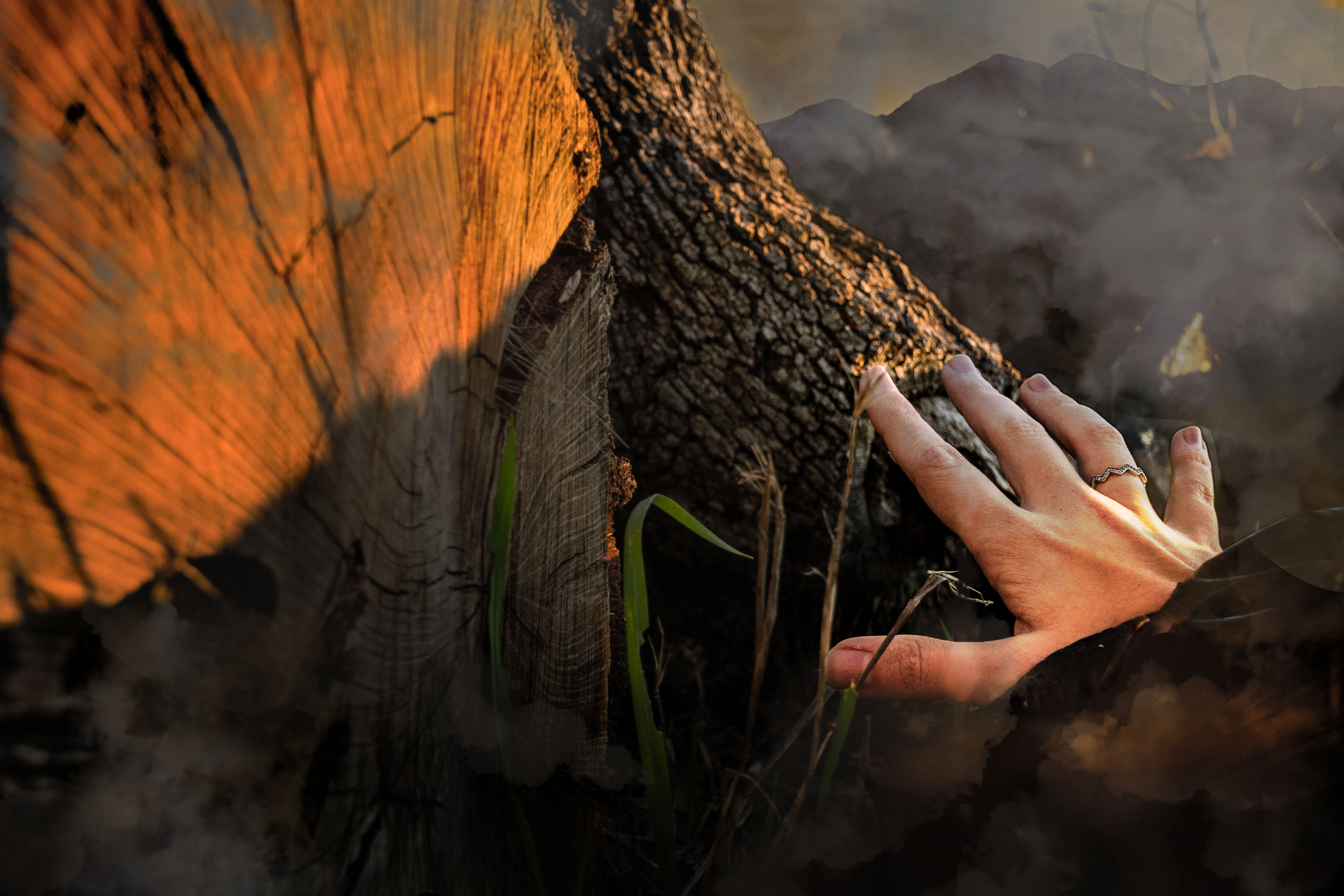 Afuentesal eternidad