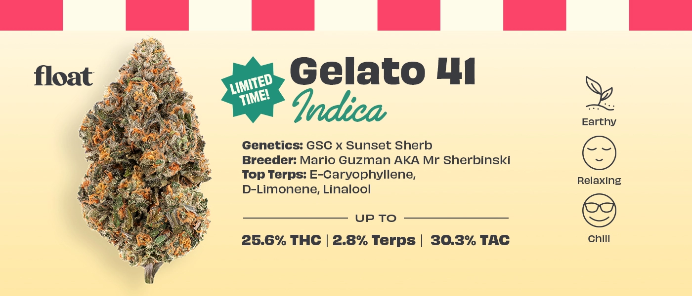 Flower, Featuring Gelato 41