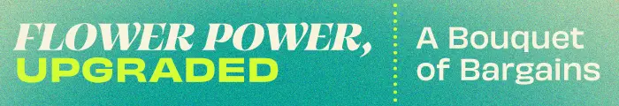 Get special pricing on Massachusetts weed pickup and delivery.