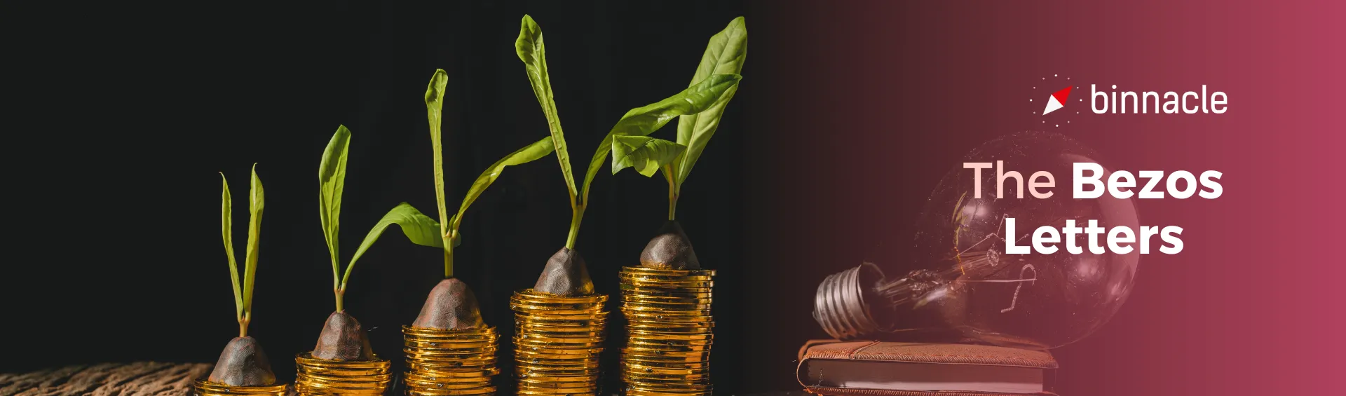 The Bezos Letters: 14 Principios para crecer tu negocio como Amazon