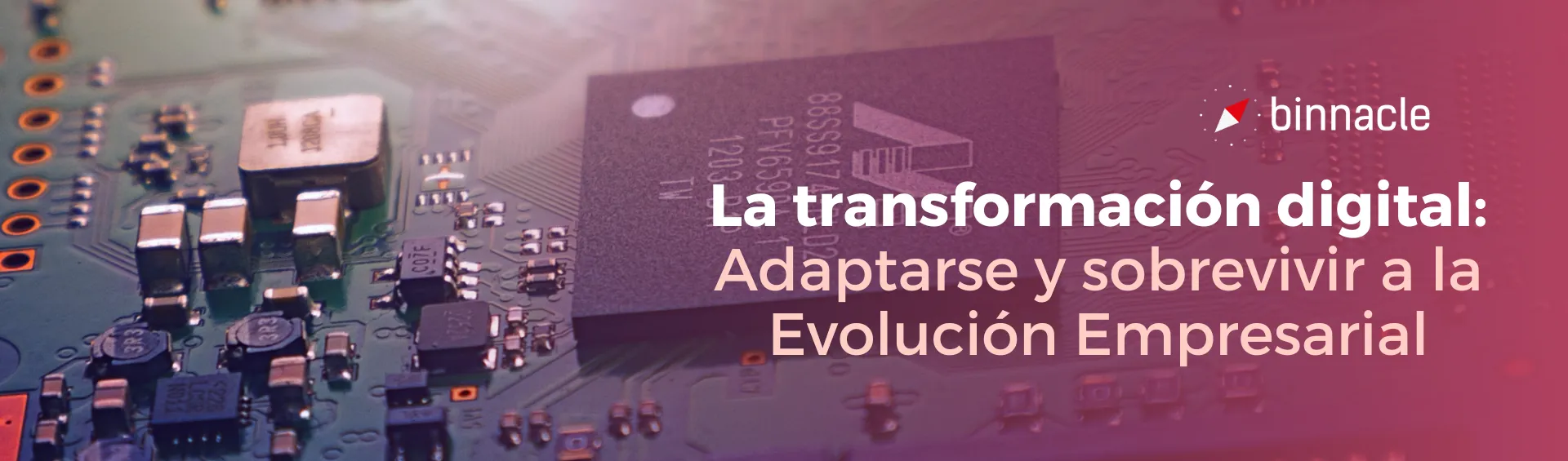 Transformación digital: Adaptarse y sobrevivir a la Evolución Empresarial
