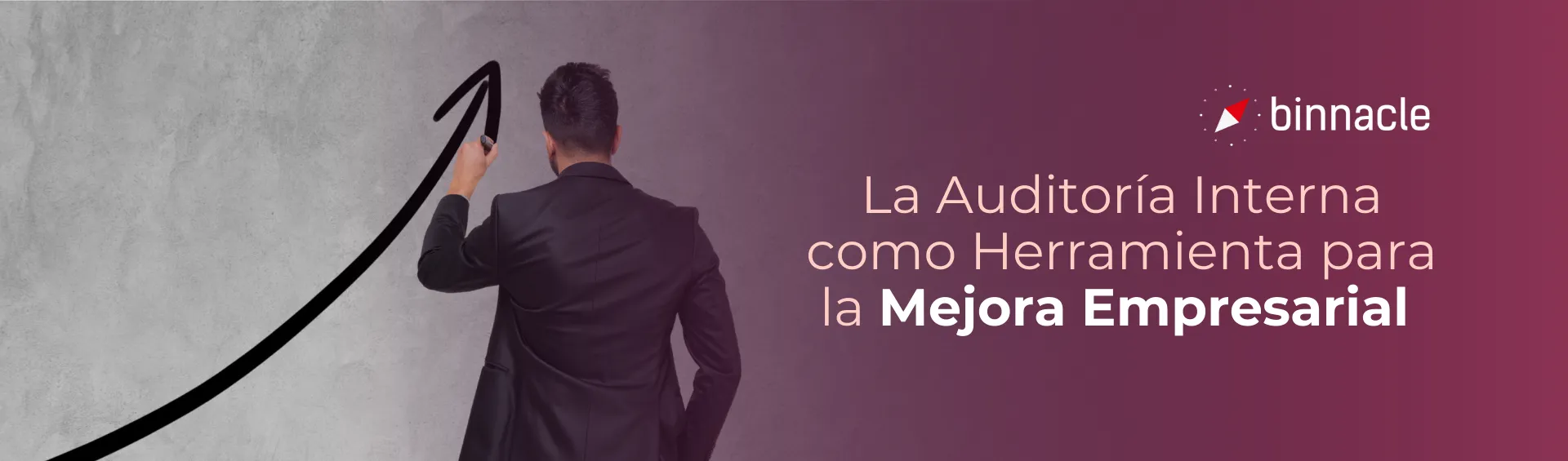 La Auditoría de proceso como Herramienta para la Mejora Empresarial