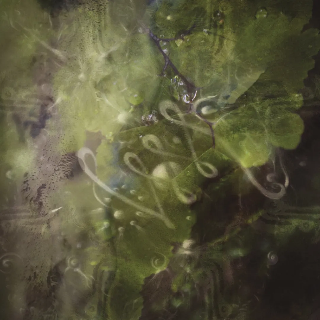 Artwork of Beta [CD001] by RBI on Aurora.