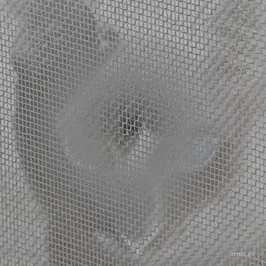 Artwork of Molly [RZB003] by INN on Zub Records.
