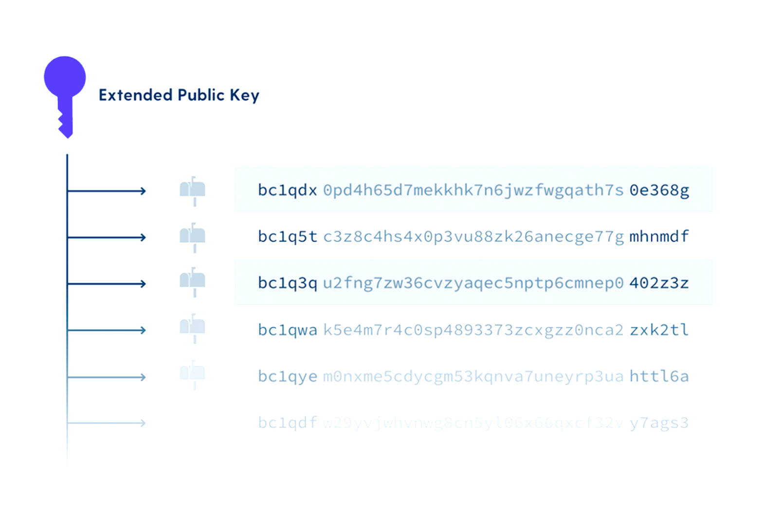 Extended public key
