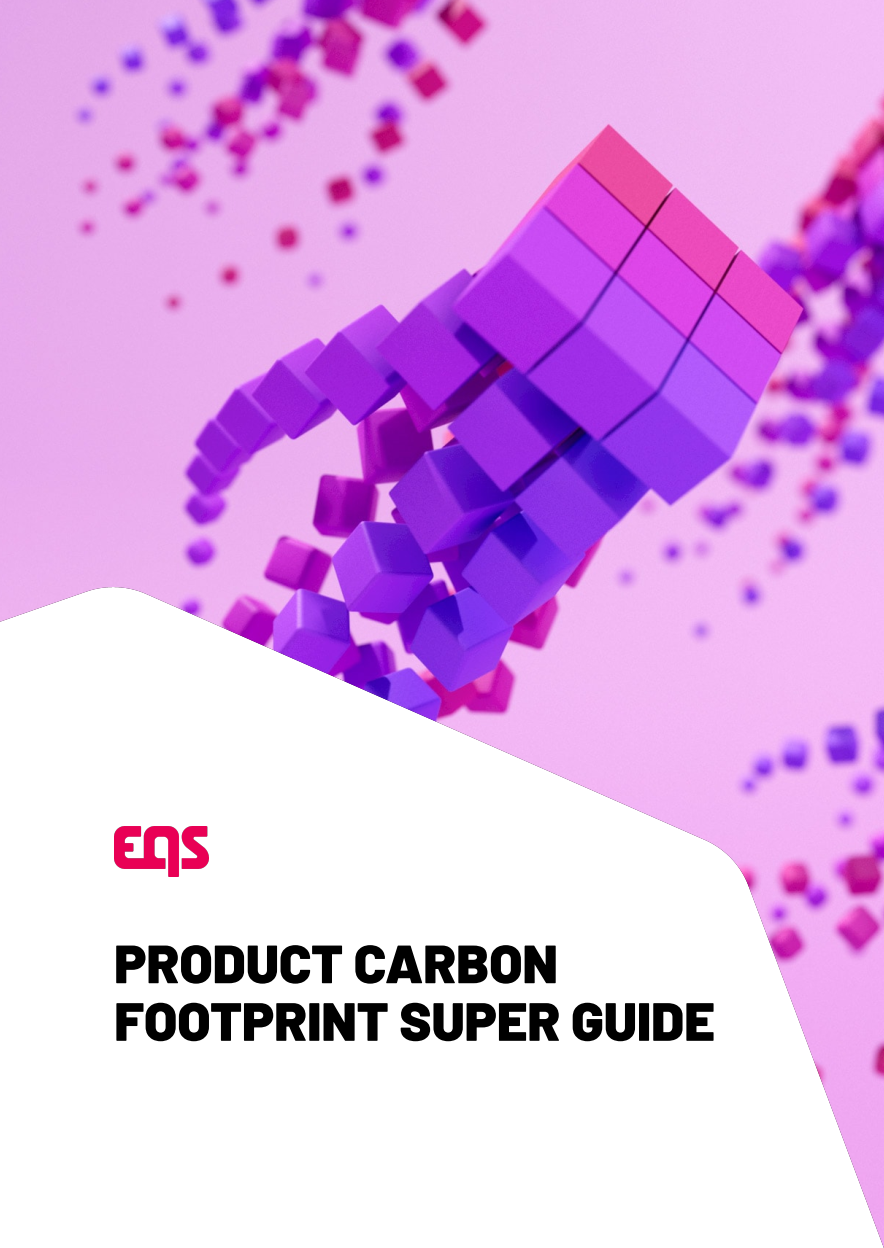 ESG Frameworks WP in English