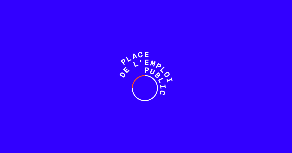 Logo de Place de l'Emploi Public - Wink