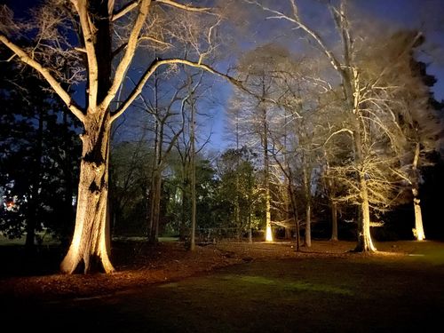 featured image for the attached blog post