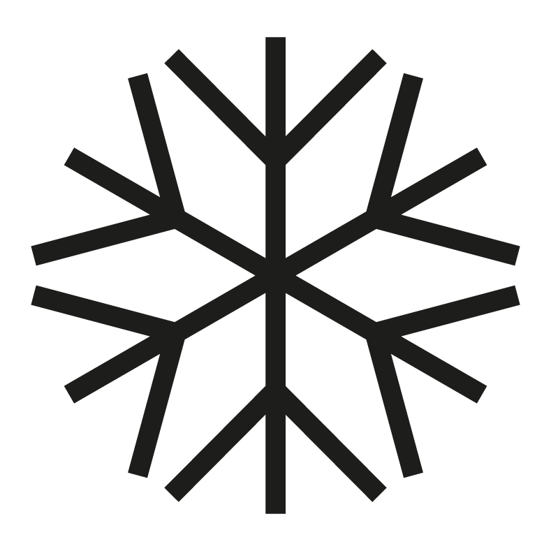 FJN Communications snowflake