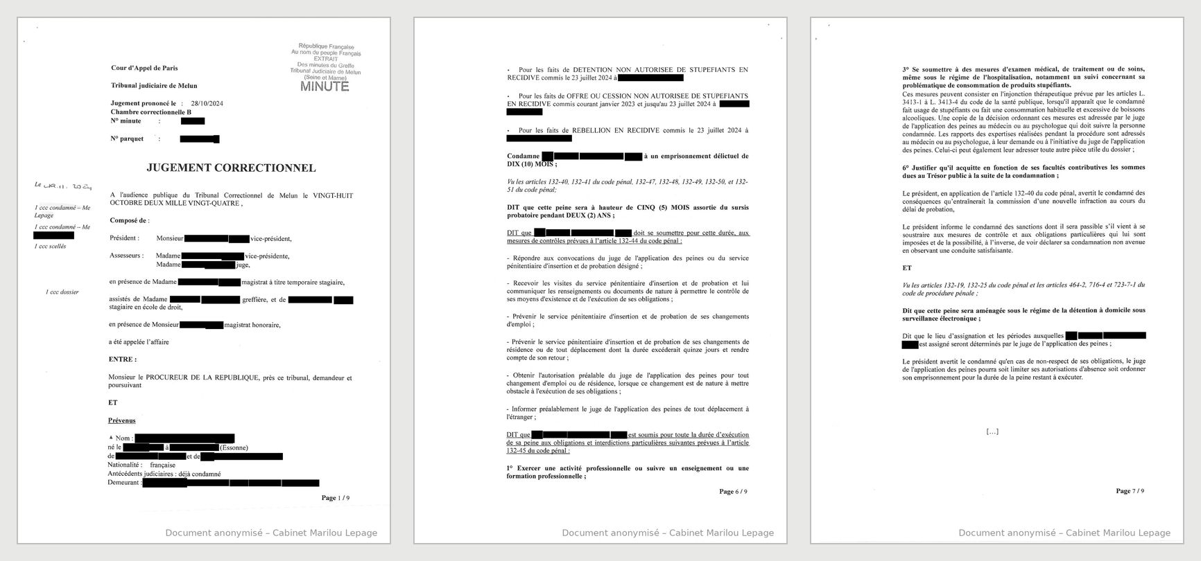 Jugement anonymisé - extrait, tribunal correctionnel de Melun, 28 octobre 2024