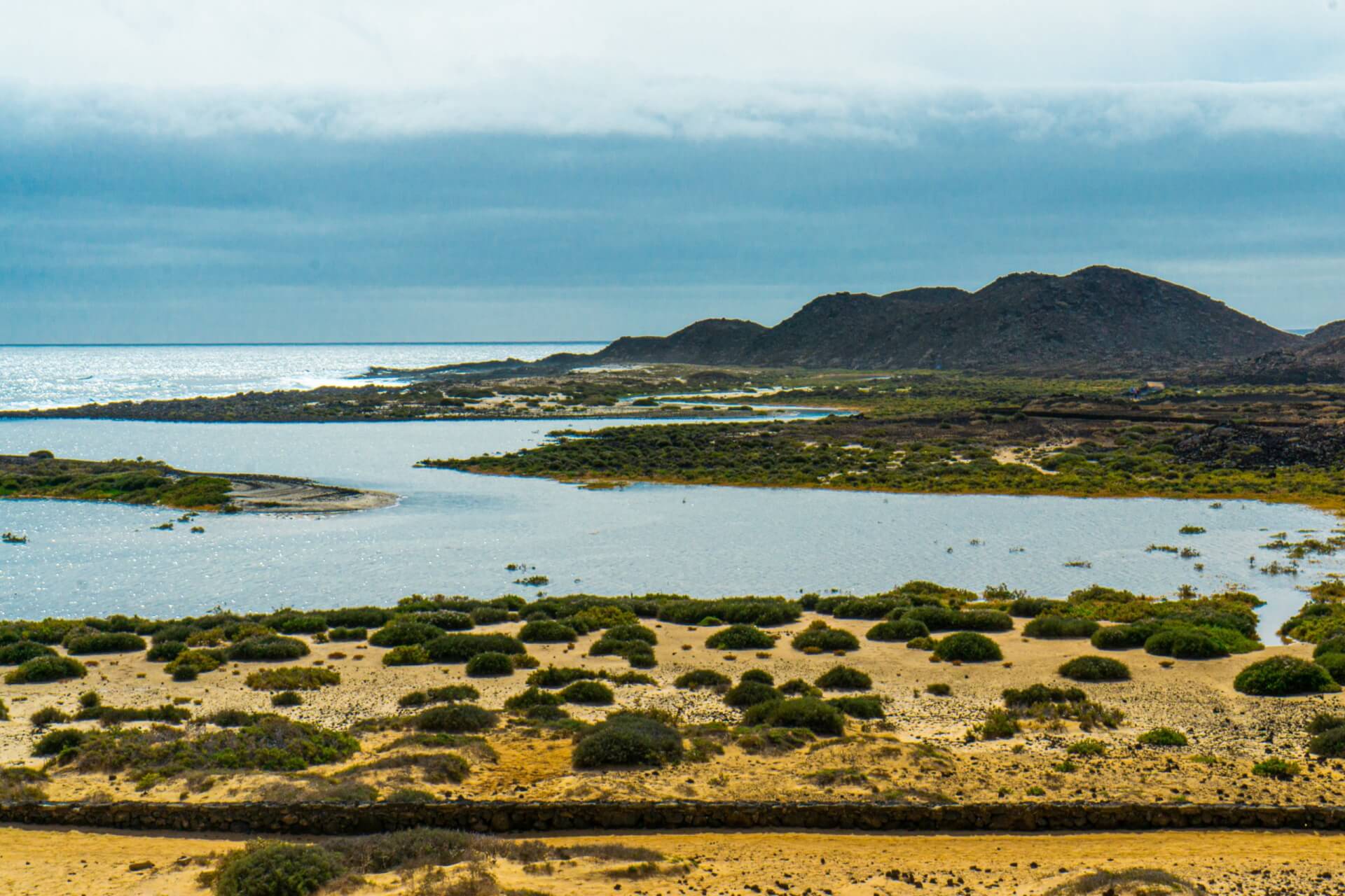 Surf Guide to the Canary Islands