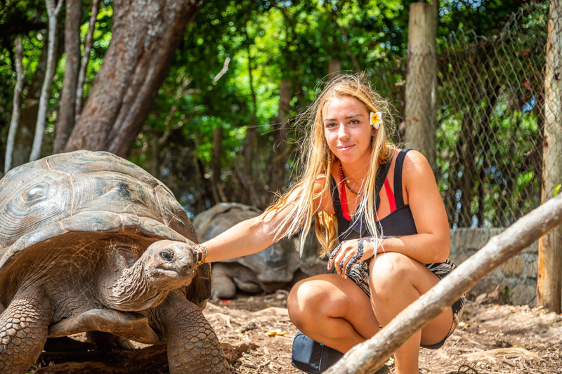 Swimming with turtles in Nungwi -  Zanzibar > Play > Experience