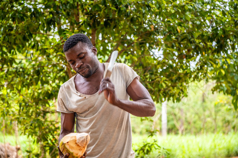 Spice tours -  Zanzibar > Play > Experience