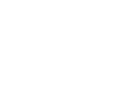 Kaercher logo