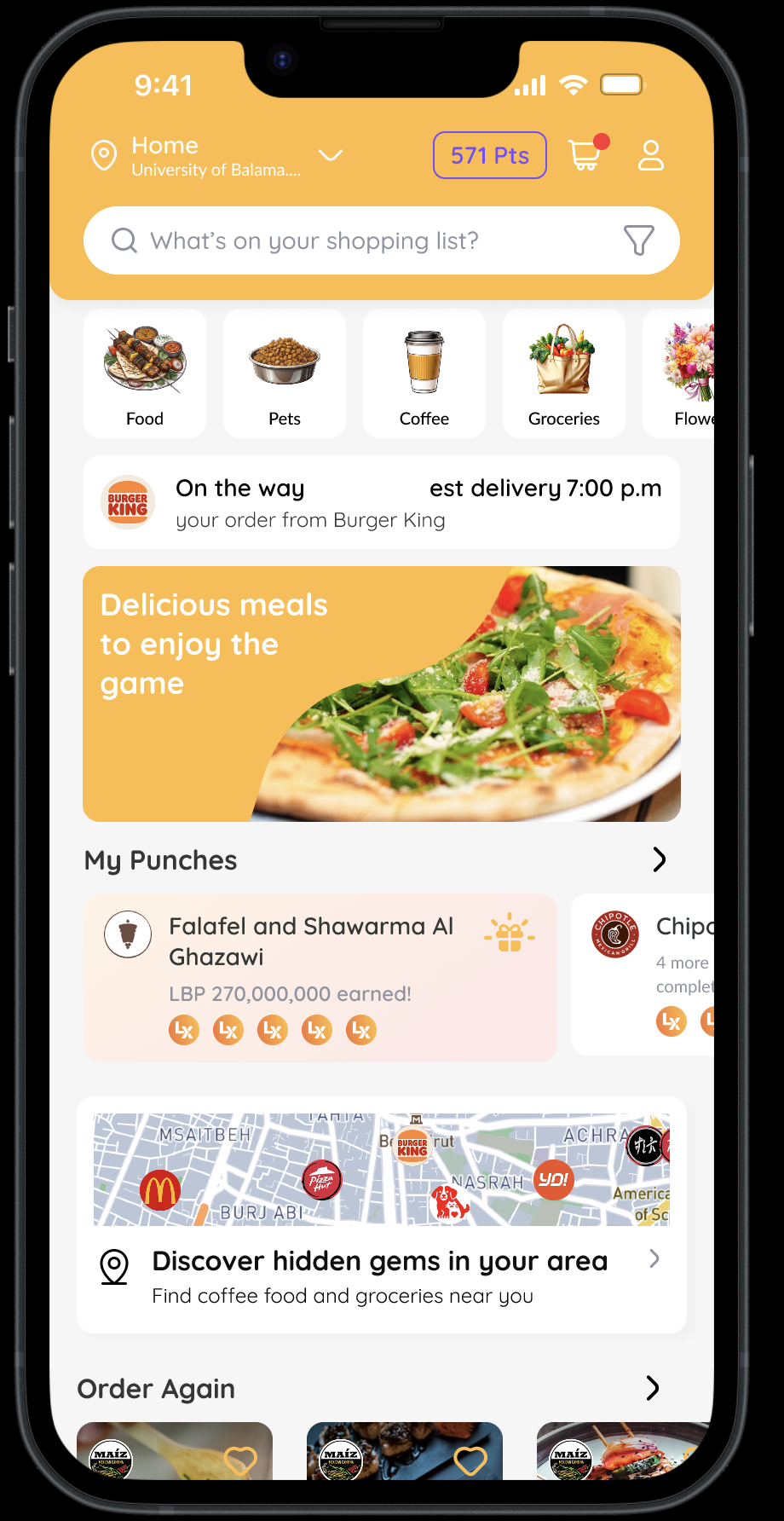 Credit Limit Details-Fintech-Ui/UX-ZOOD