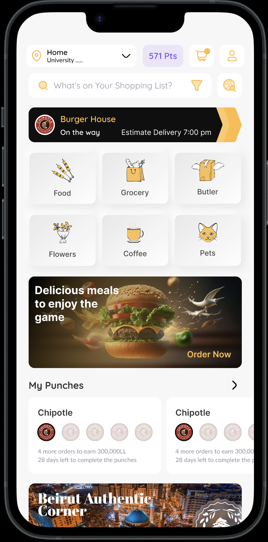 Credit Limit Details-Fintech-Ui/UX-ZOOD