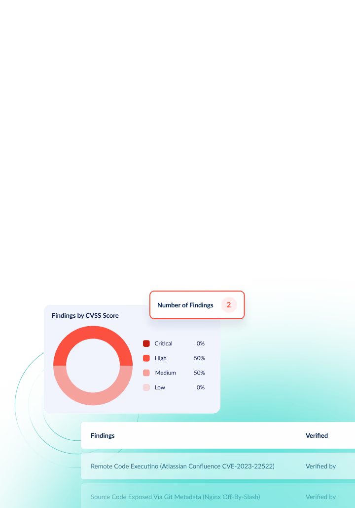 Vulnerability Monitoring