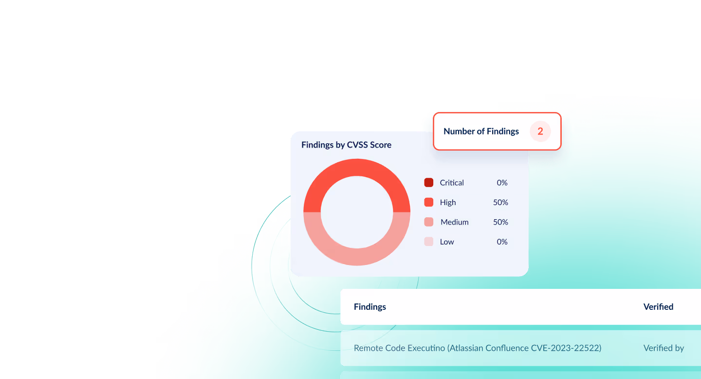 Vulnerability Monitoring