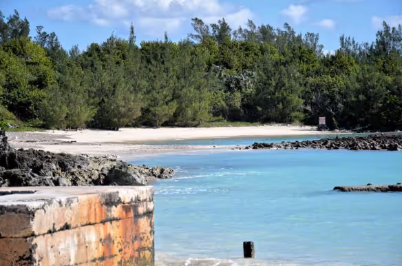 Google will consult the Bermuda Environmental Sustainability Taskforce when an environmental impact assessment begins on a plan to bring a Google cable to Bermuda’s shores.