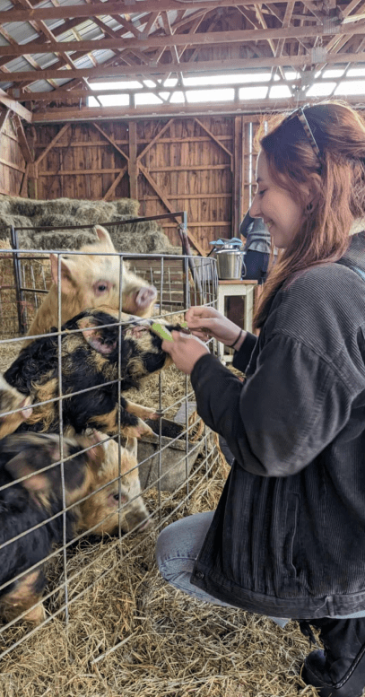 Photo of Mariah feeding some pigs